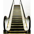 Fujizy Safe Steady and Smooth Running of Escalator Fjf-G6000